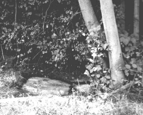 Gravestone,Chaloner, Harriet, and Mary Alabaster, Kensal Green