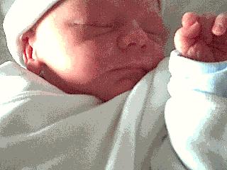 Leos Thivillier Knobloch