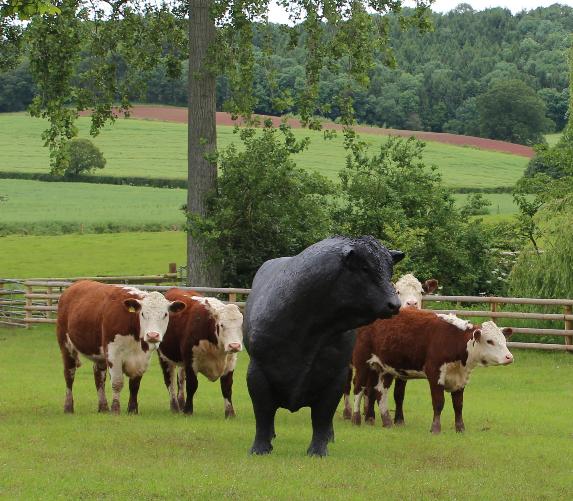 Brian Alabaster`s bronze casting of a prize bull